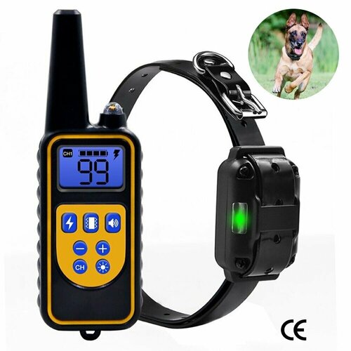 ���� �������������� ����������� ������� ��� ����� 800� ���������������, ������ ������