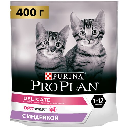    Pro Plan           ,     10   2    -     , -,   