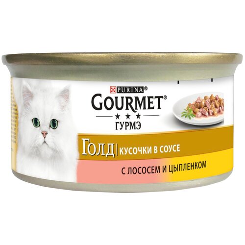      Gourmet ,  ,   24 .  85  (  )   -     , -,   