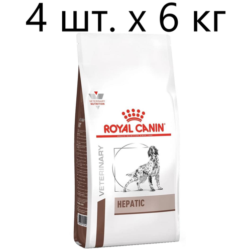      Royal Canin Hepatic HF16,   , 4 .  1.5    -     , -,   