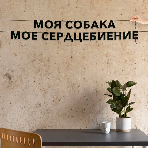 ���� ����� ������������, ��� ����� - ���� ������-��� ������������, ������ ��������� ��������., ������ ������