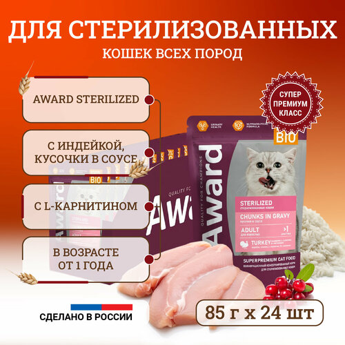       Award Sterilized Chunks in Gravy Adult Turkey  ,   ,   - 85   24    -     , -  