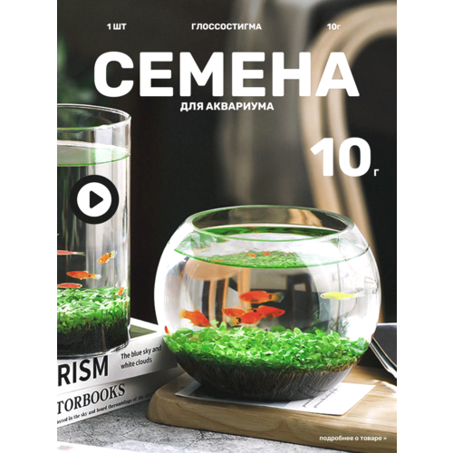 ���� ������ �������� ��� ��������� 