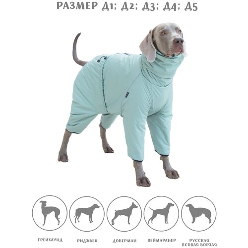 ���� ���������� ���������� ��� ����� ������� � ������� �����, ���� �����, �3, ������ ������