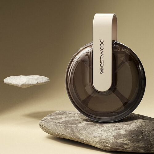 ���� ����������, ������ ������