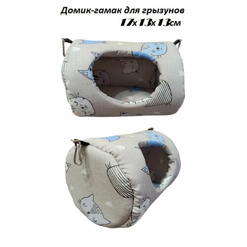 ���� �����-����� ��� �������� 17�13�13��, ������ ������