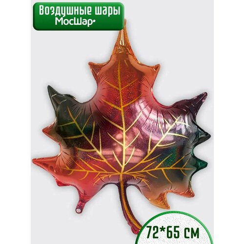 ���� ��������� ��� �������������� �� 1 ��������, ���� �����, ������ ������