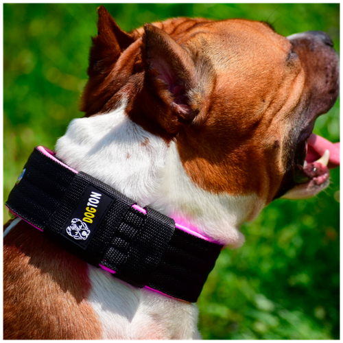 ���� ������� ��� ����� DOGTON. ������� ������� 5.5 ��. ������ ������. ������� ��������. ������� ���������. ������ ��� 35-47, ������ ������