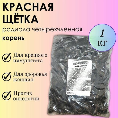 ���� ������� ����� 