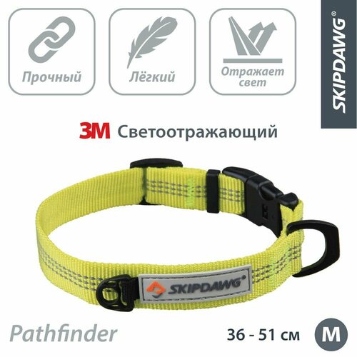 ���� ������� ��� �����, ���������������, ��� ������� � ������� �����, ������, ������ ������