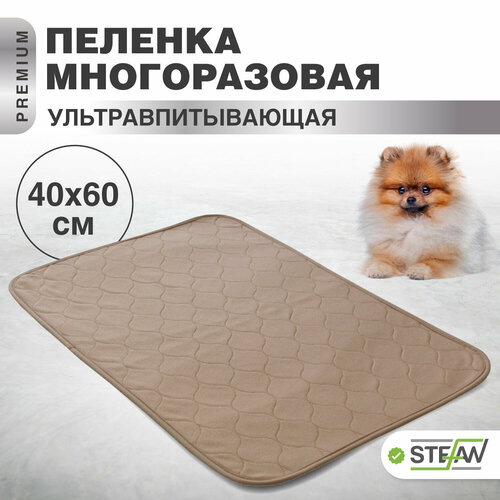   STEFAN (), ,  (, )  ,   ,   4060, WP-40603   -     , -  