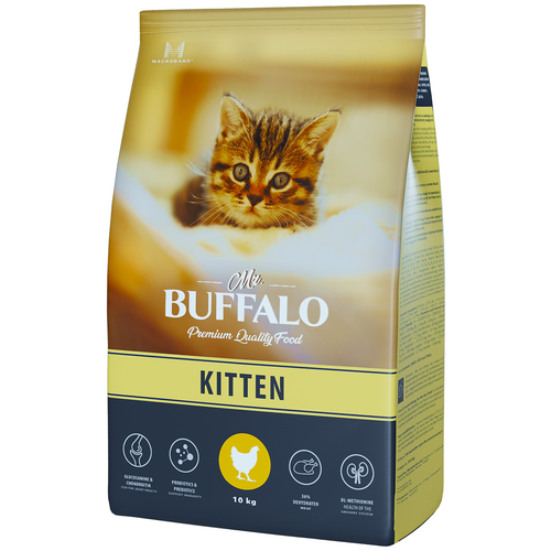  Mr.Buffalo (. ) KITTEN    10   -     , -  