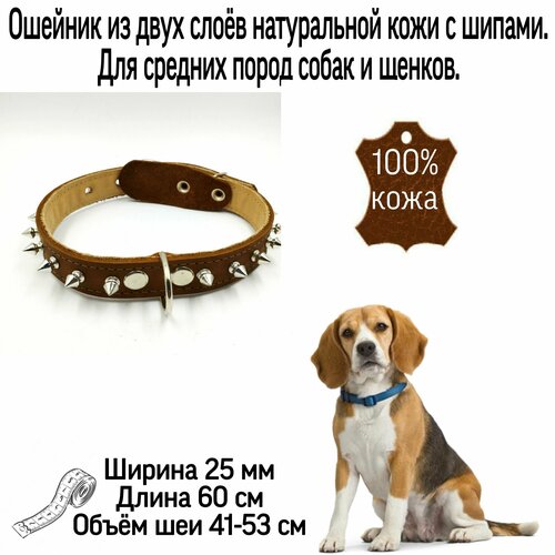 ���� ������� �� ����������� ���� � ������ ��� ����� ������� ����� � ������ 25 ��*60 ��, ����� ��� 41-53 ��. ��� ���� ����������� ����., ������ ������