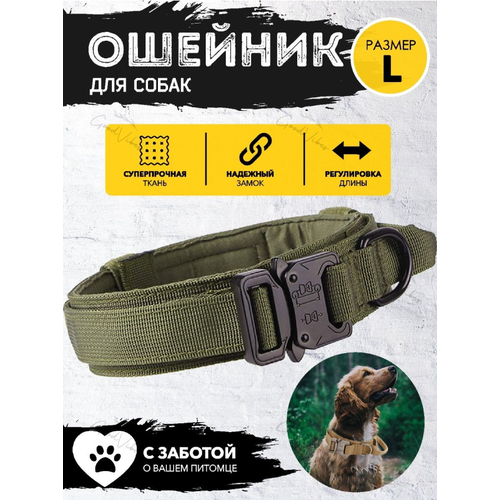 ���� ������� ��� ����� ����������� ��������� ��� �����������, ���� �������, ������ ������