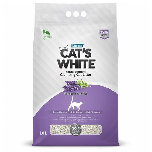  Cat's White Lavender          (10)  