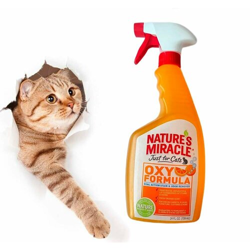        Nature's Miracle Oxy Formula Cat Stain and Odor Remover   -     , -  