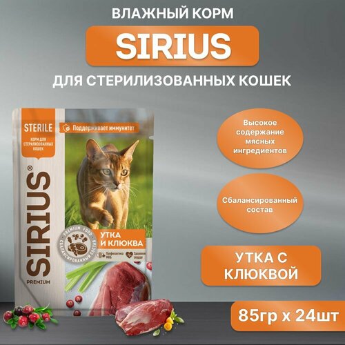    SIRIUS      ,   , , 85*24   -     , -  