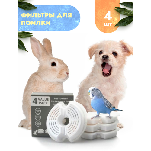 ���� ������ ��� ������ 4 ��., ������ ������