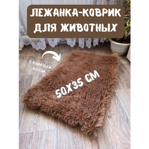 ���� �������-������ ��������� ��� ��������, ����� ��� �����, ��� �����, ������� 50�35 ��, ������ ������