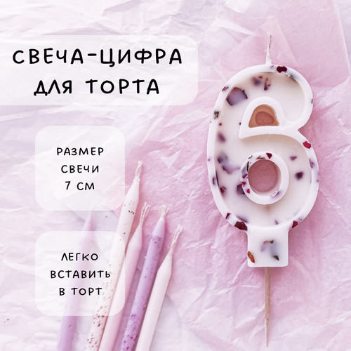 ���� ����� ��� ����� ����� 6, ������ ������, 1��, ������ ������