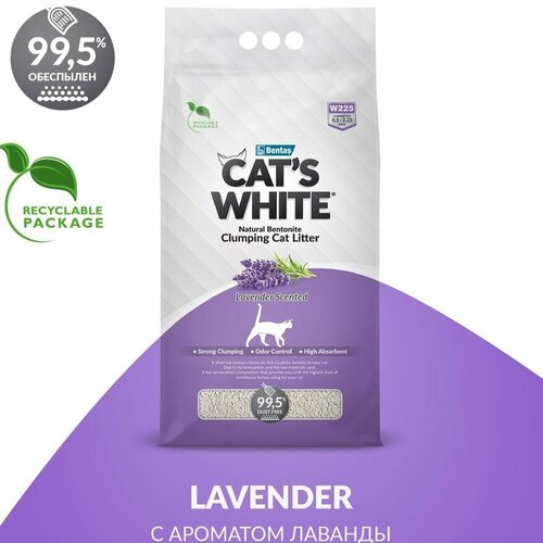   CATS WHITE 5 Lavender        -     , -  