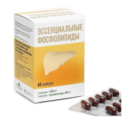 ���� ������������� ����������� ����� ������� ����., 1.4 �, 60 ��., 1 ��., ������ ������