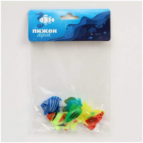 ���� ����� ��� ��������� 