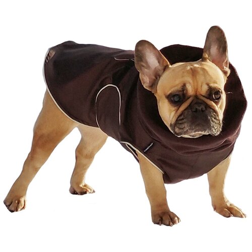 ���� ������ ��� ����� ������ �������c��� �������, ����������, ������ L, ������ ������