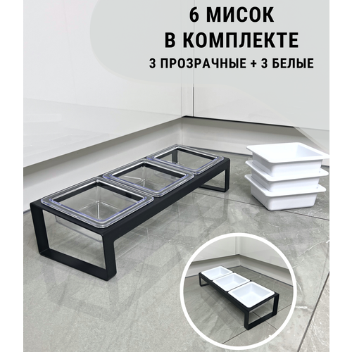 ���� ����� ��� ��������, �����, ����� ������� ������, ������ ������