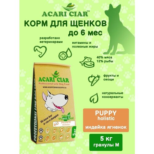      ACARI CIAR PUPPY 5 MEDIUM    -     , -  