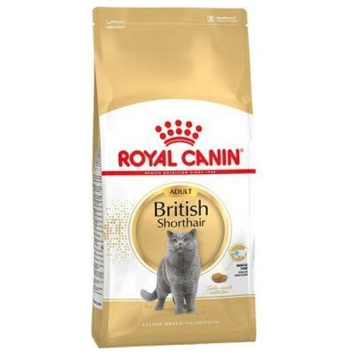       Royal Canin British Shorthair, 2    -     , -,   