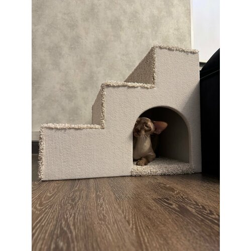 ���� �������� ��� �������� - 55*44*46, ������ ������