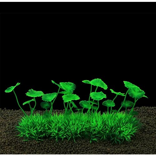 ���� ����������� ������������� ��������, ������ ������