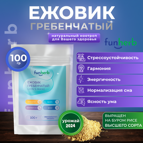 ���� ������ ����������� ������� �������, ������ ������