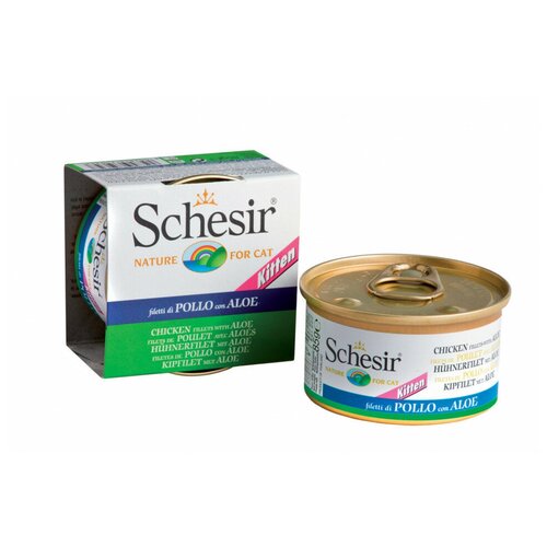  Schesir       - 85    -     , -,   