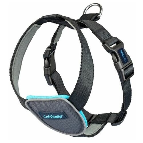 ���� ������������� ������ ��� ����� Company of Animals 