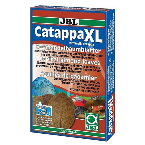  JBL Catappa XL -      .  10 .