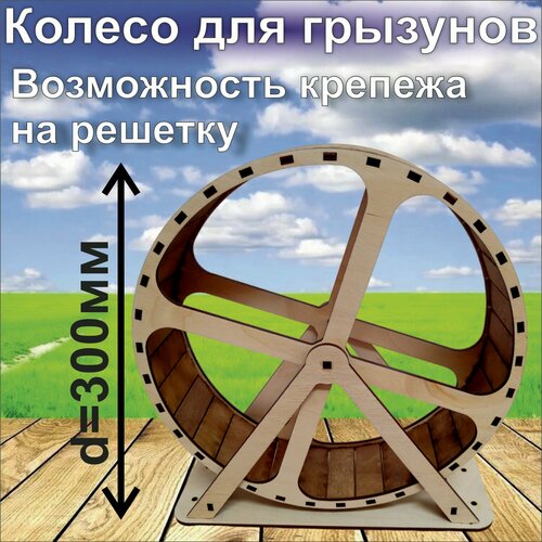 ���� ������� ������ ��� ��������, ����, �����, �������� 30��, ������ ������