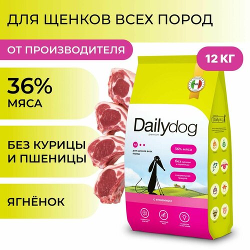    Dailydog    ,  , 12    -     , -  