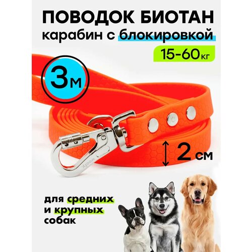 ���� ������� ���������� 3 �, 20 �� ��� ������� � ������� �����, ������ ������