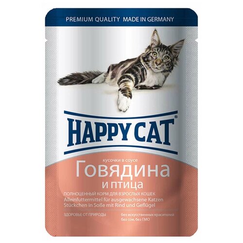      Happy Cat  ,   24 .  100  (  )   -     , -,   