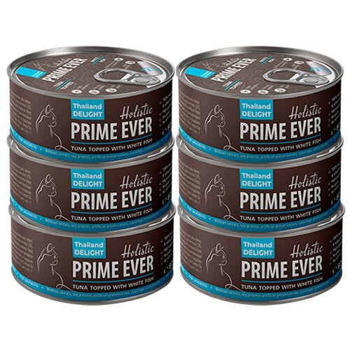     ,      , , Prime Ever,  6   80 