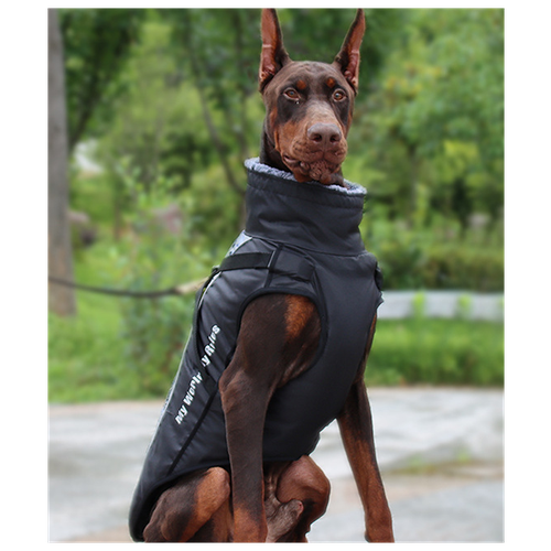 ���� ������ ��� ������� ����� 4XL, ������ ������