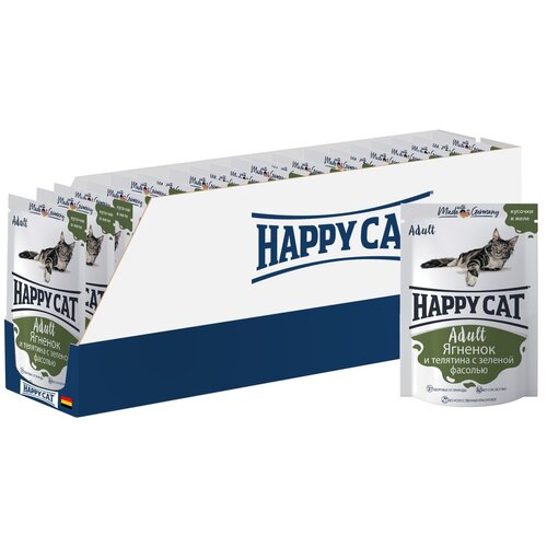      Happy Cat      24 .  100  (  )   -     , -  