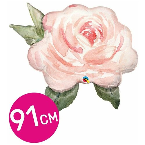 ���� ��������� ��� �������������� Riota ��������, ���� �����������, 91 ��, ������ ������