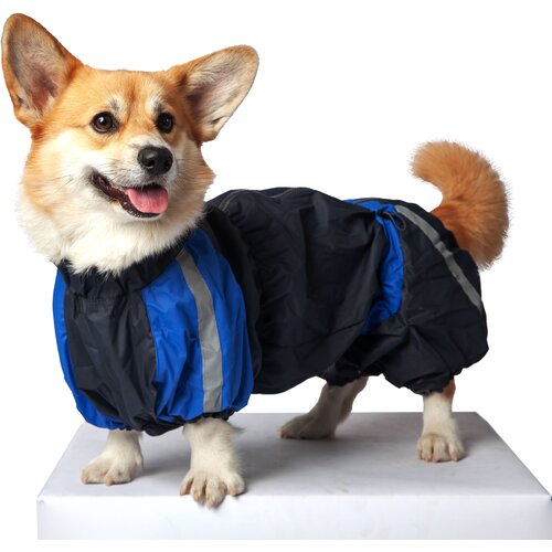 ���� ���������� ���������� ��� ����� �� ��������, ������ ������