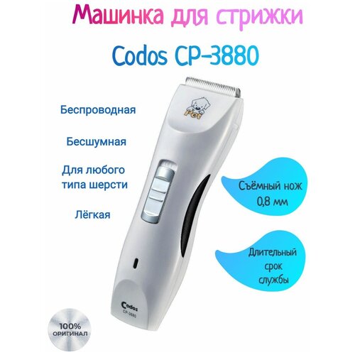      CP-3880 CODOS ()   -     , -  