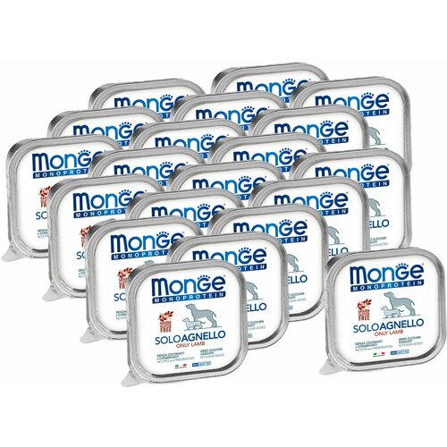  Monge Dog Monoprotein Solo B&S       150  20 .   -     , -,   