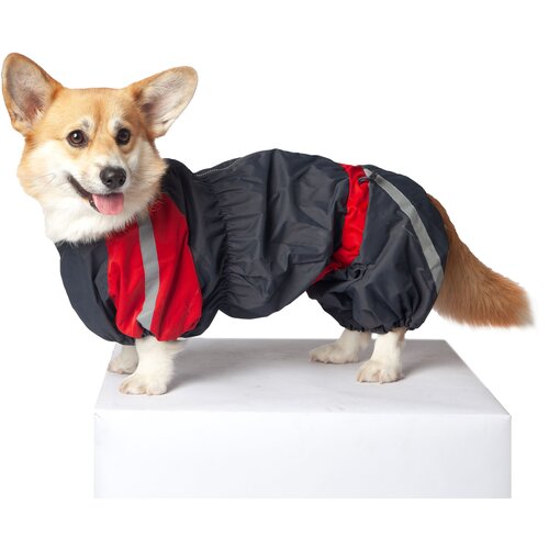 ���� ���������� ���������� ��� ����� �� �������, ������ ������