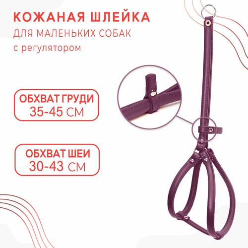 ���� ������� ������ ��� ��������� ����� � ����������� / �������� ����, ������ ������